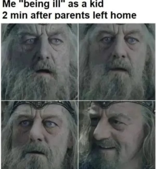 Memes For ''The Lord Of The Rings'' Fans (28 pics)