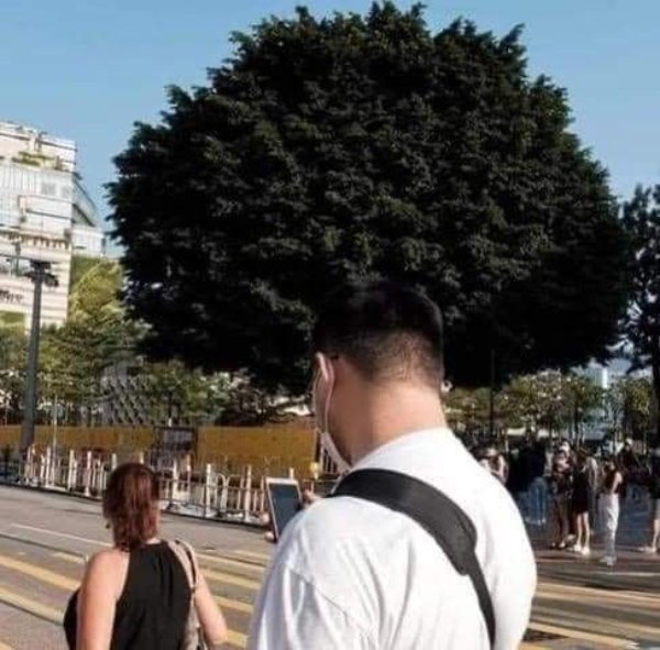 Optical Illusions (26 pics)