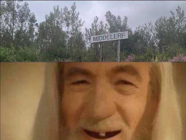 Memes For ''The Lord Of The Rings'' Fans (28 pics)