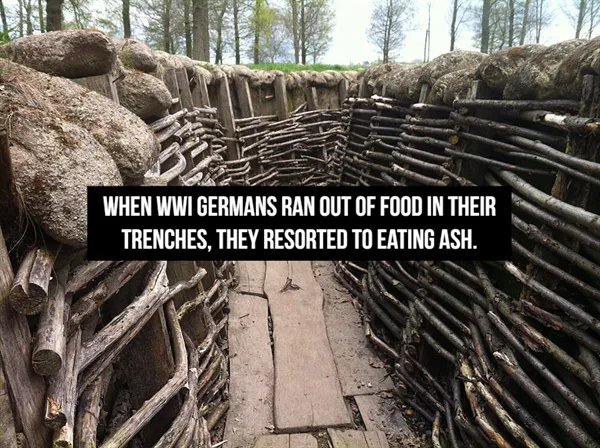 Interesting Historical Facts (14 pics)