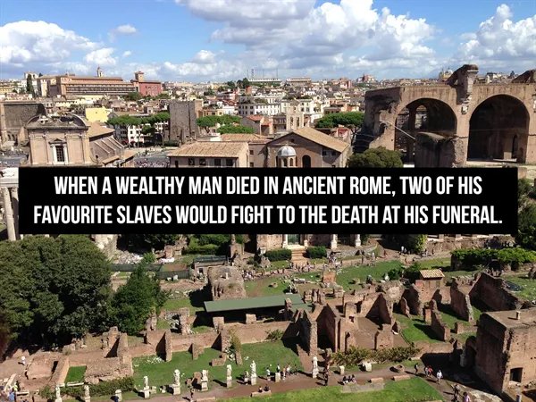 Interesting Historical Facts (14 pics)
