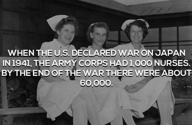 Facts About World War II (17 pics)