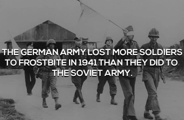 Facts About World War II (17 pics)