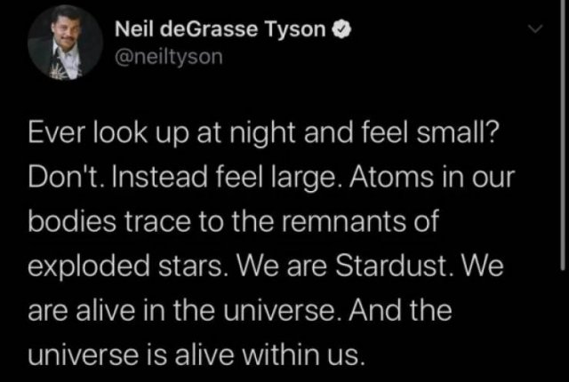 Wise Thoughts (24 pics)