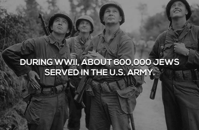 Facts About World War II (17 pics)