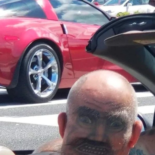 What Is Going On Here? (47 pics)