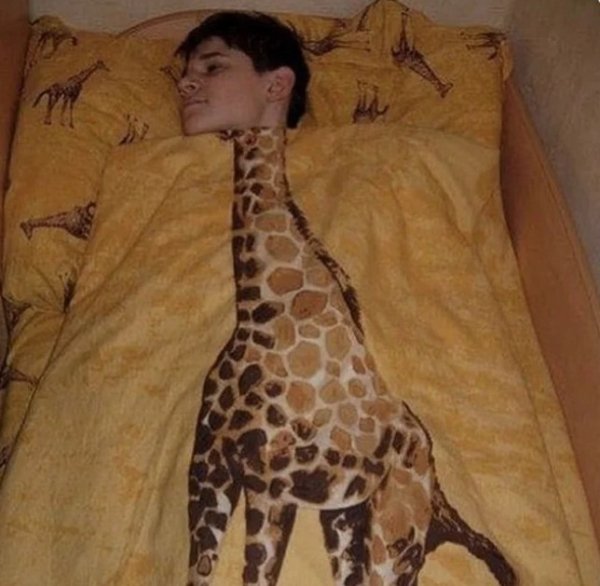 What Is Going On Here? (47 pics)