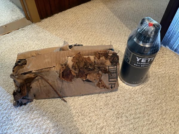 Annoying Finds And Situations (26 pics)