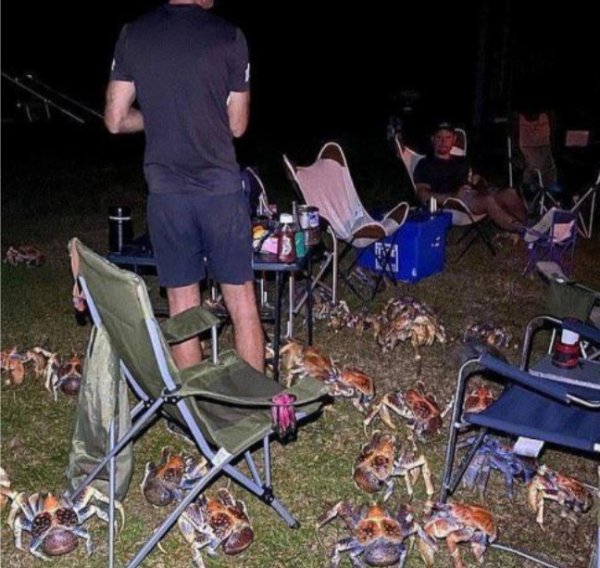 What Is Going On Here? (47 pics)