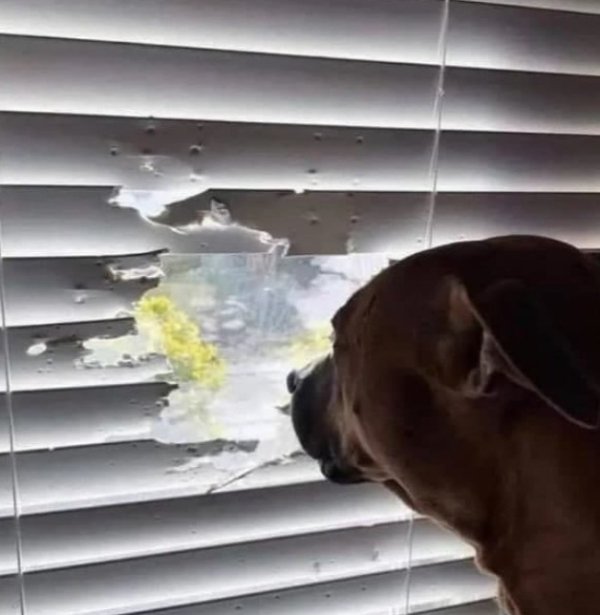What Is Going On Here? (47 pics)
