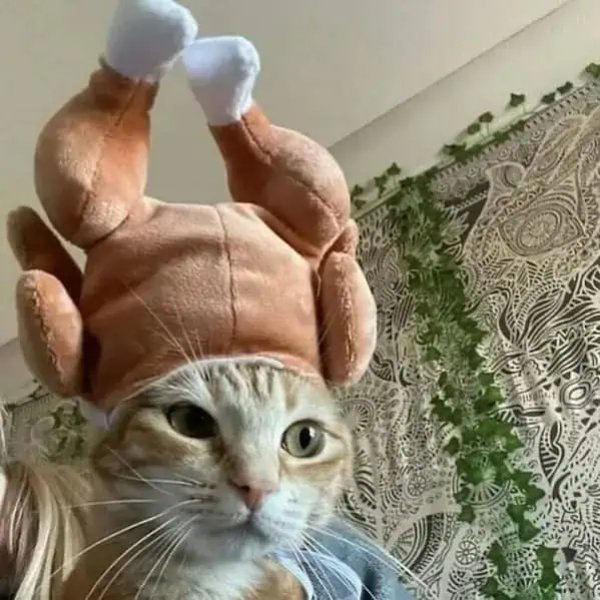 What Is Going On Here? (47 pics)