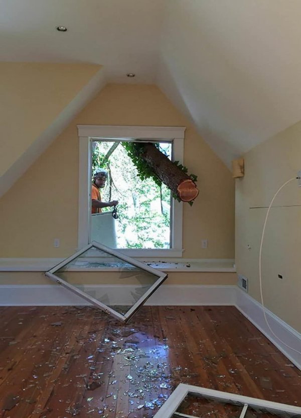 Annoying Finds And Situations (26 pics)