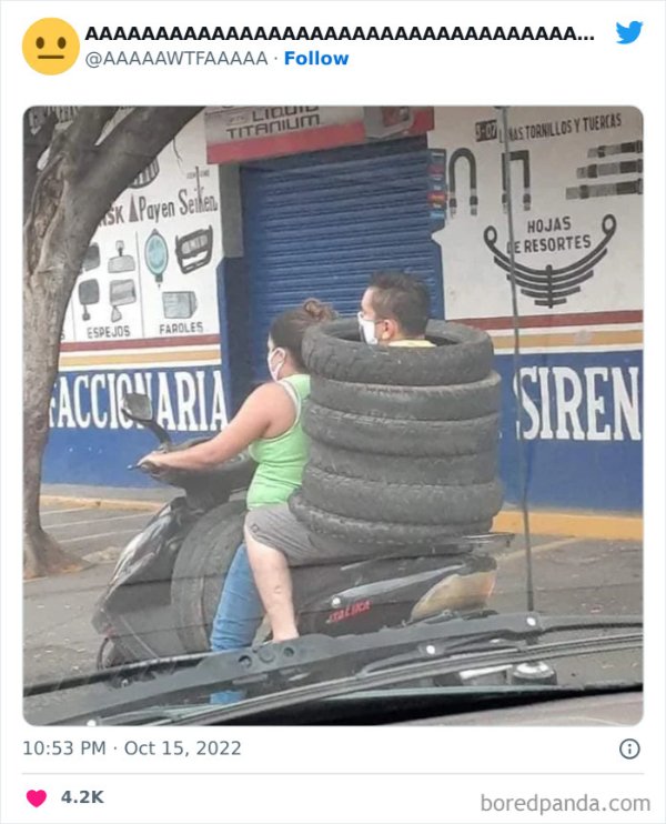 What Is Going On Here? (47 pics)