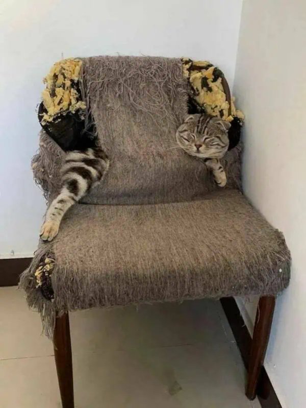 What Is Going On Here? (47 pics)