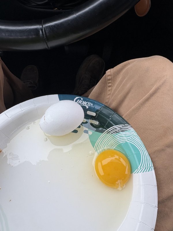 Bad Days Happen (25 pics)