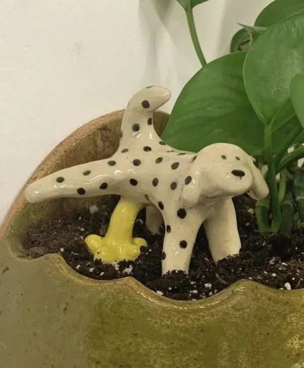 What Is Going On Here? (47 pics)