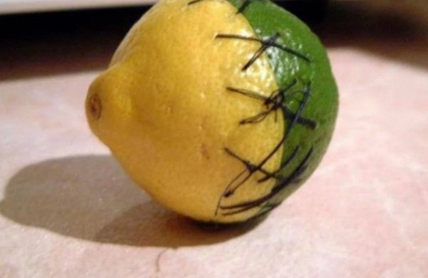 What Is Going On Here? (47 pics)