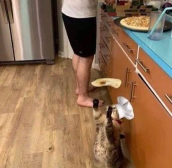 What Is Going On Here? (47 pics)