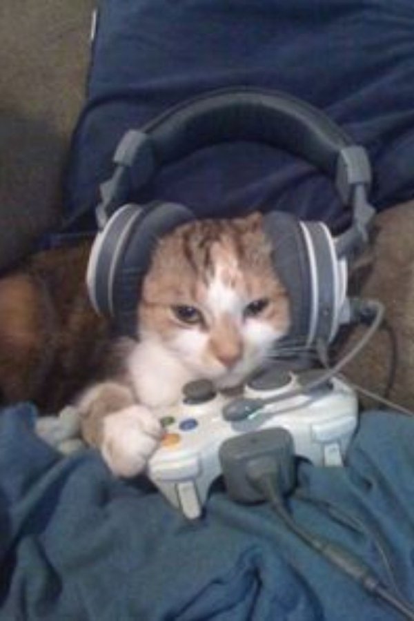 Memes And Pictures For Gamers (30 pics)
