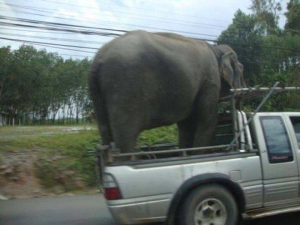 Terrible Drivers (28 pics)