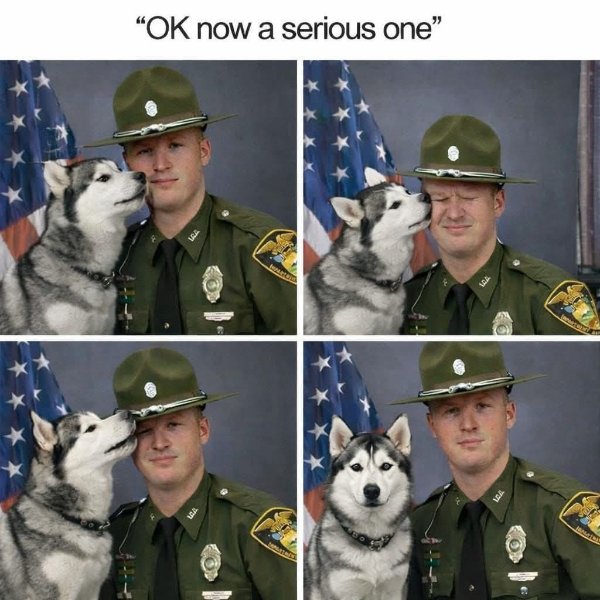 Funny Dogs (26 pics)