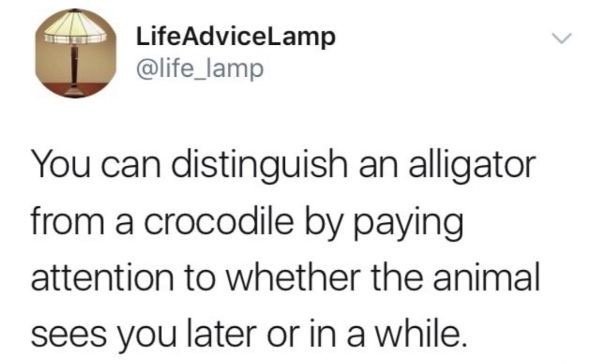 Random Memes (31 pics)