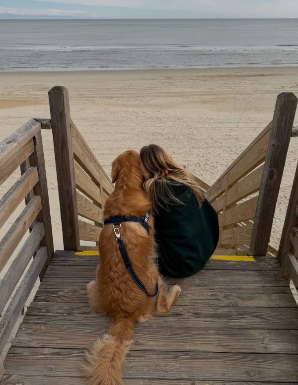 Funny Dogs (26 pics)