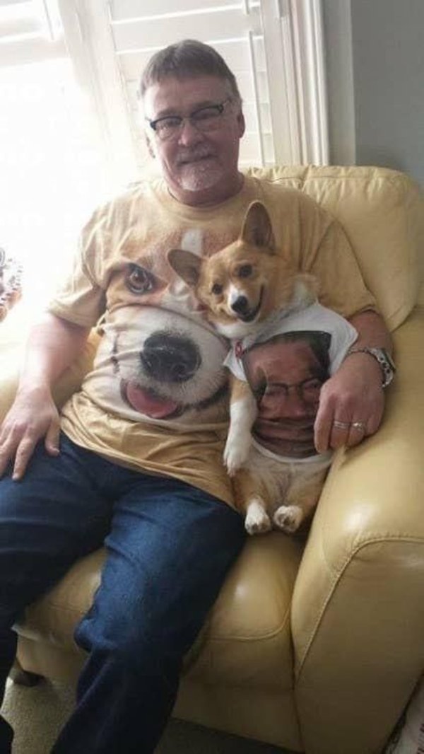 Funny Dogs (26 pics)