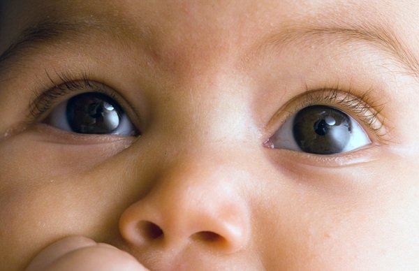 Random Facts (17 pics)