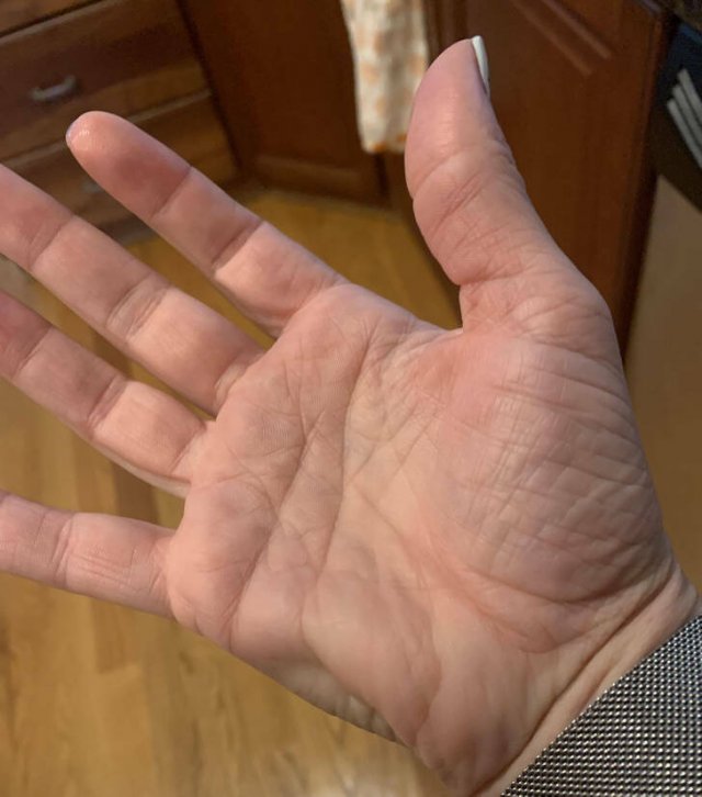 Strange Finds And Situations (34 pics)