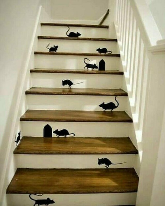 What Is Going On Here? (15 pics)