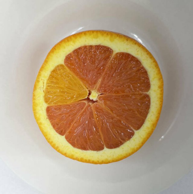 Strange Finds And Situations (34 pics)