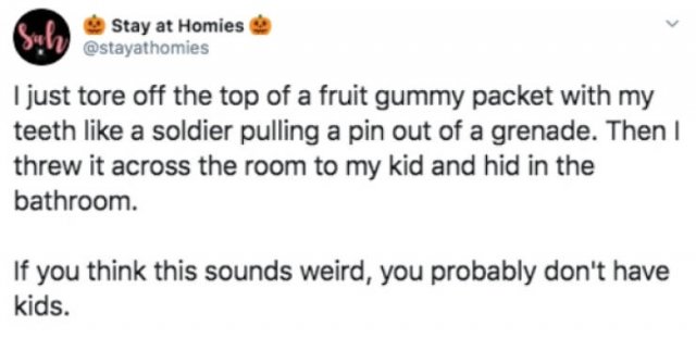 Parenting Memes (28 pics)