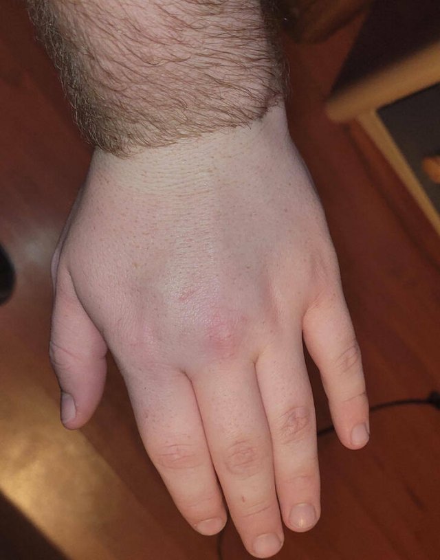 Strange Finds And Situations (34 pics)