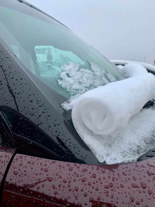 Strange Finds And Situations (34 pics)