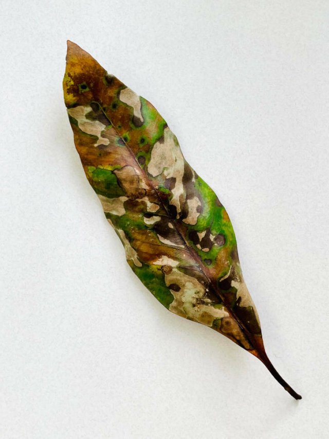 Strange Finds And Situations (34 pics)