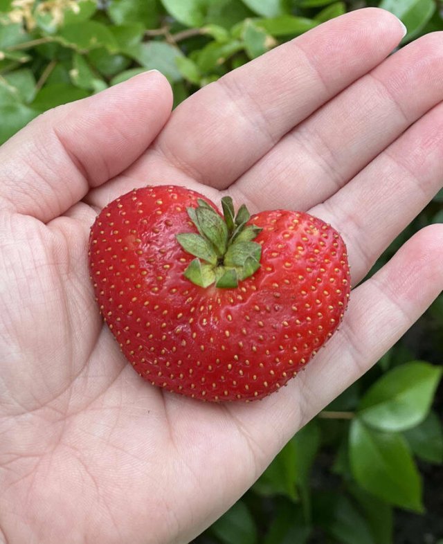 Strange Finds And Situations (34 pics)