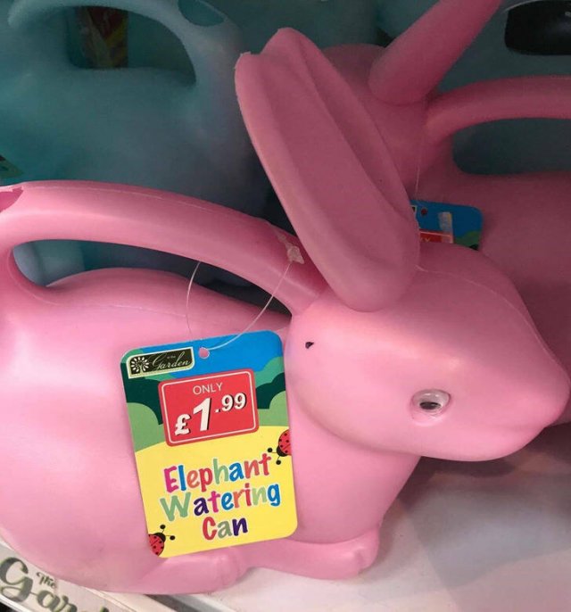 Strange Finds And Situations (34 pics)