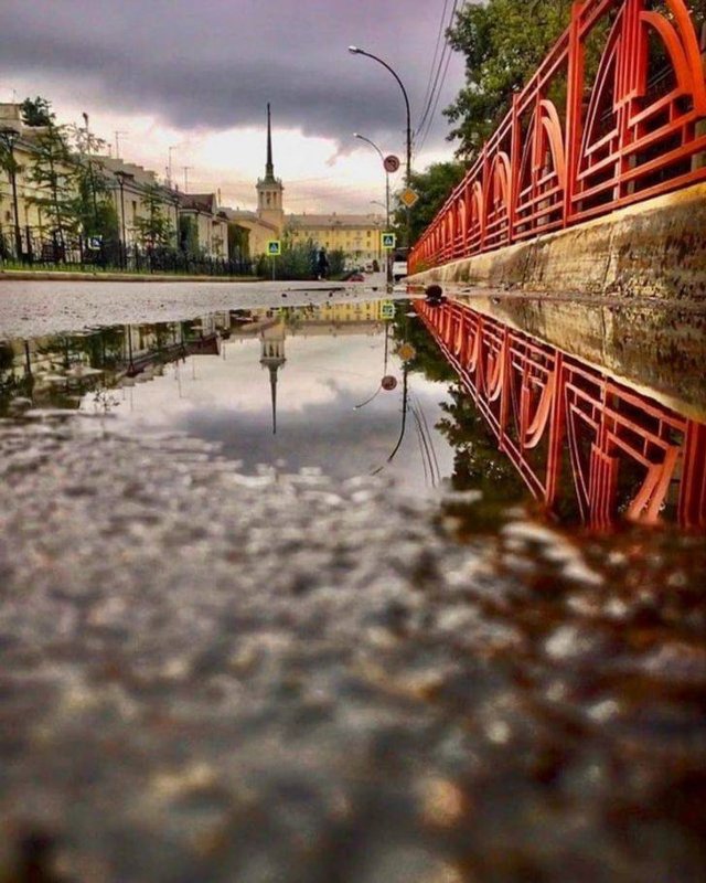 Amazing Nature (19 pics)