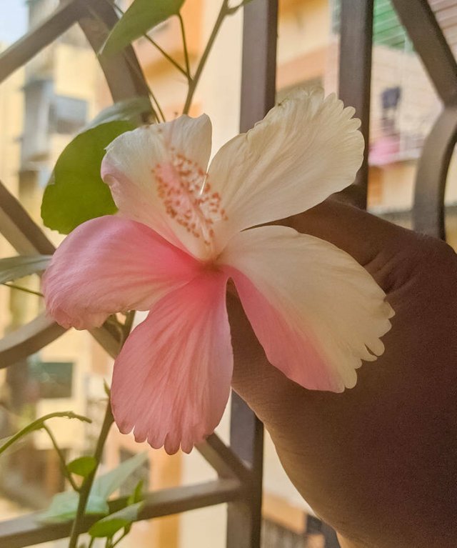 Strange Finds And Situations (34 pics)