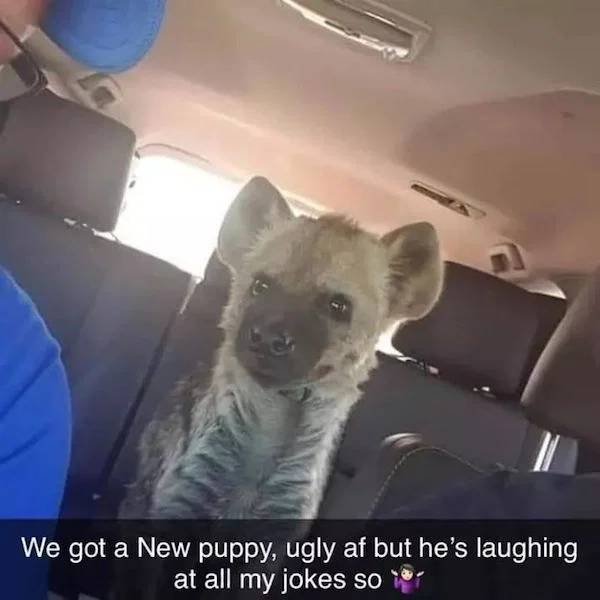 Random Jokes (21 pics)