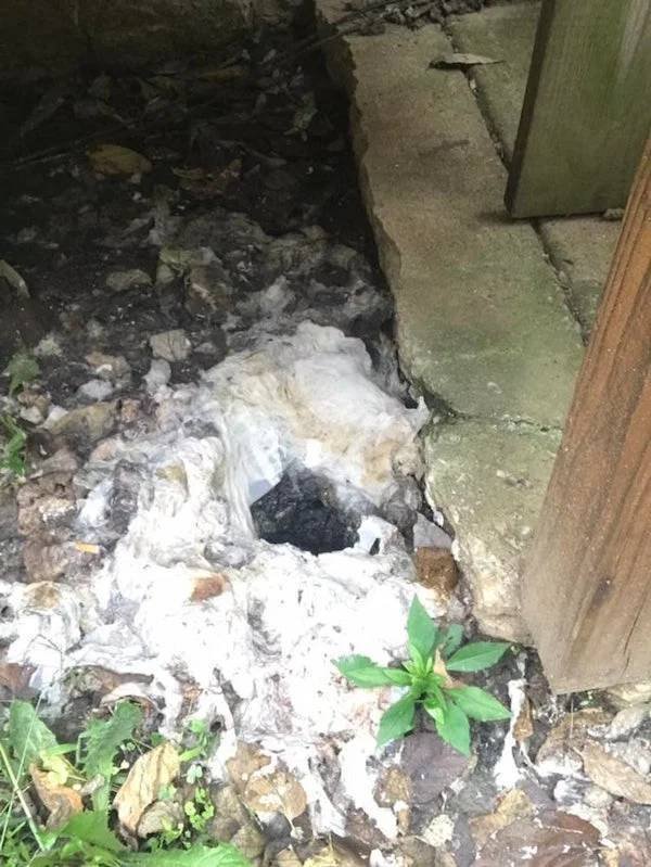 What Are These Things? (21 pics)