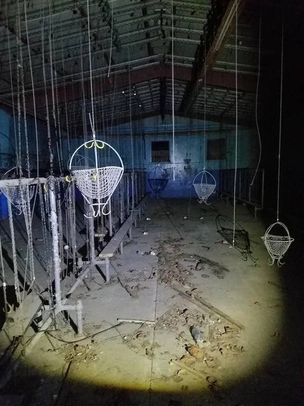 What Are These Things? (21 pics)