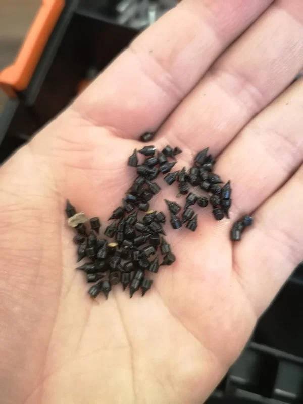 What Are These Things? (21 pics)