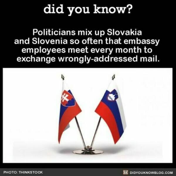 Interesting Facts (24 pics)