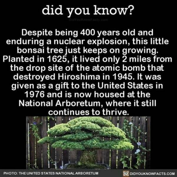 Interesting Facts (24 pics)