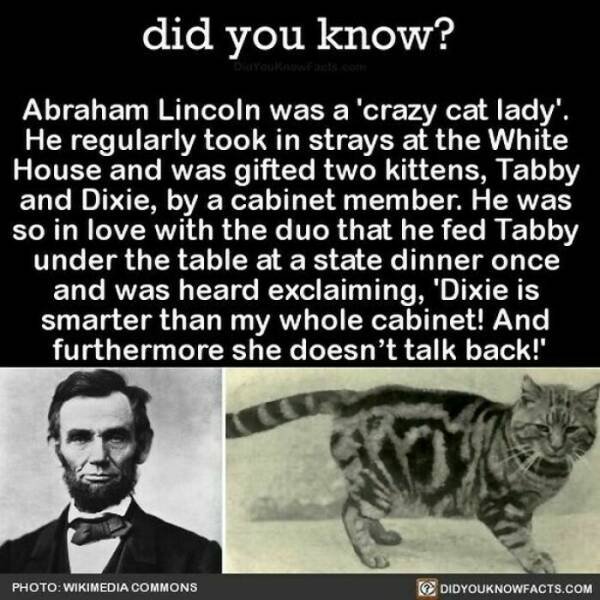 Interesting Facts (24 pics)