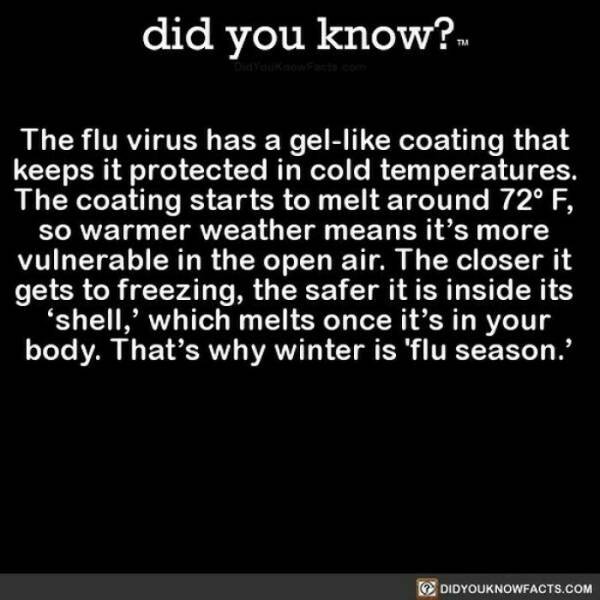 Interesting Facts (24 pics)