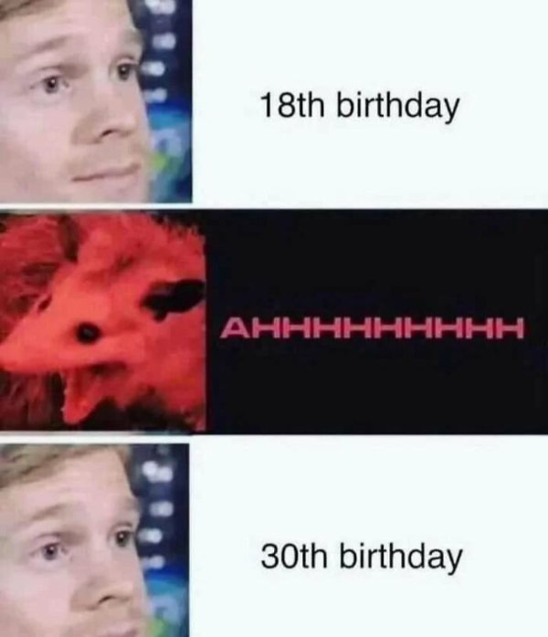 Funny Memes (36 pics)