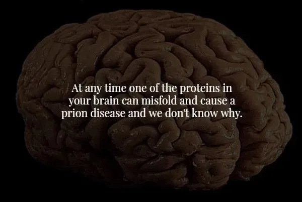 Creepy Facts (16 pics)